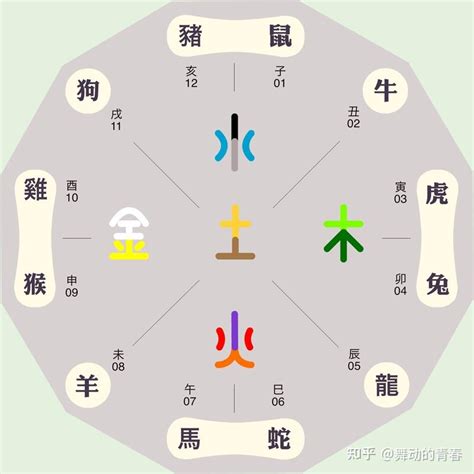 大象五行属什么|风水中大象五行属什么